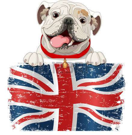 Английский для школьников в Белгороде