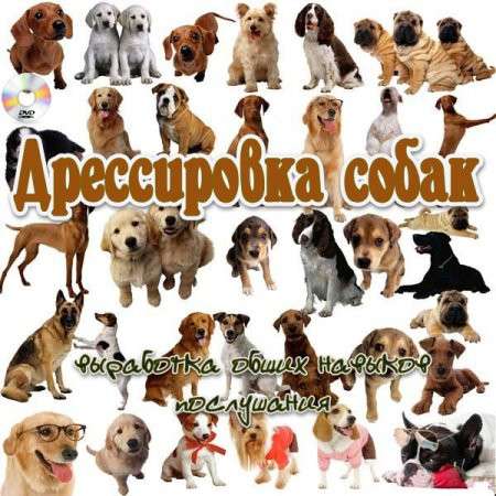 Приглашаем в клуб собаководства в фото 8