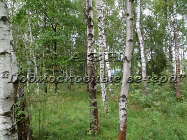 realty_mapper3.plot_in_locationПлощадь 15.00 сот.Есть Электричество, Водопровод. в Москве фото 31