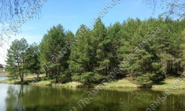 realty_mapper3.plot_in_locationСадовое некоммерческое тов-во. Площадь 15.00 сот.Есть Электричество. в Москве фото 17