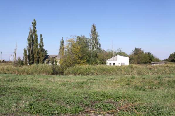 Продается свино-товарная ферма с земельным участком 19га в Краснодаре фото 3