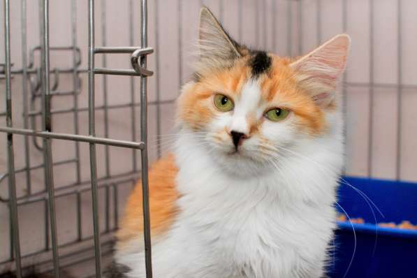 Ласковая Фруттис мечтает о встрече с семьей в Москве фото 4