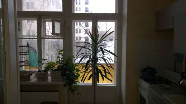 ПРОДАЮ ИЛИ МЕНЯЮ КОМНАТУ НА ФРУНЗЕНСКОЙ НАБЕРЕЖНОЙ в Москве фото 43