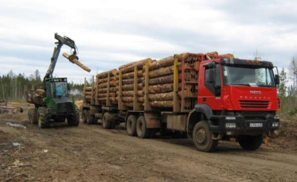 Прицеп лесовоз СА 8343 3 осный в Новосибирске
