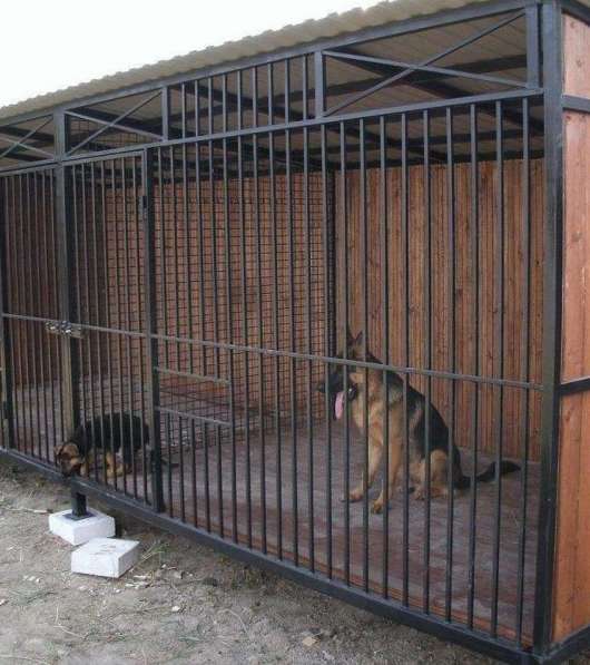 Вольеры для собак в Тюмени фото 4