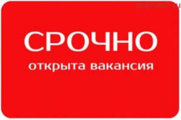 В халал кафе требуется салатница, с опытом работы