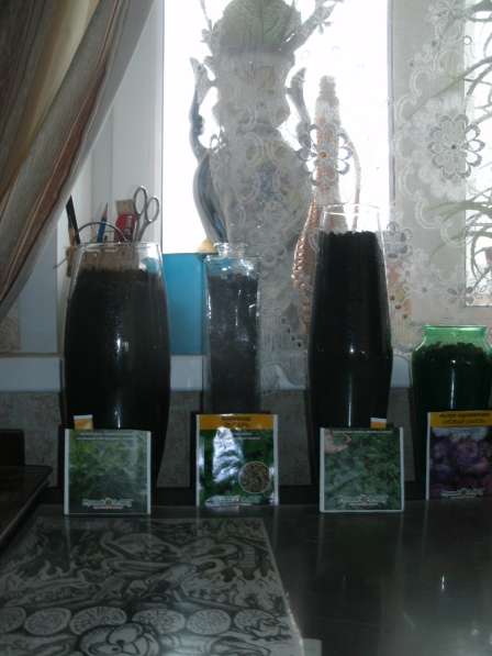 Вазариум в Москве фото 10