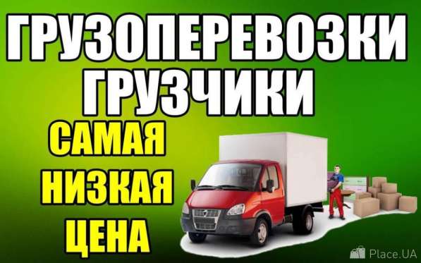 Грузчики, газель, переезд Красноармейский-Советский в Волгограде фото 3