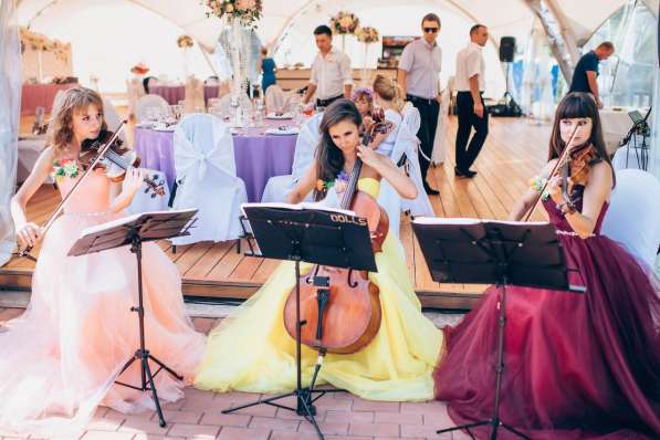 Струнный квартет DOLLS - скрипка на свадьбу в Москве фото 5