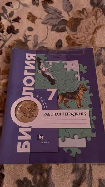 Рт по биологии 7 класс
