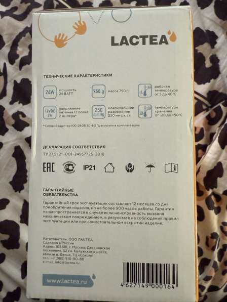 Молокосос в Калининграде фото 3