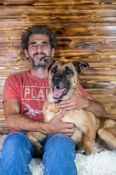 Славный богатырь Норд Батькович ищет дом в Москве фото 5