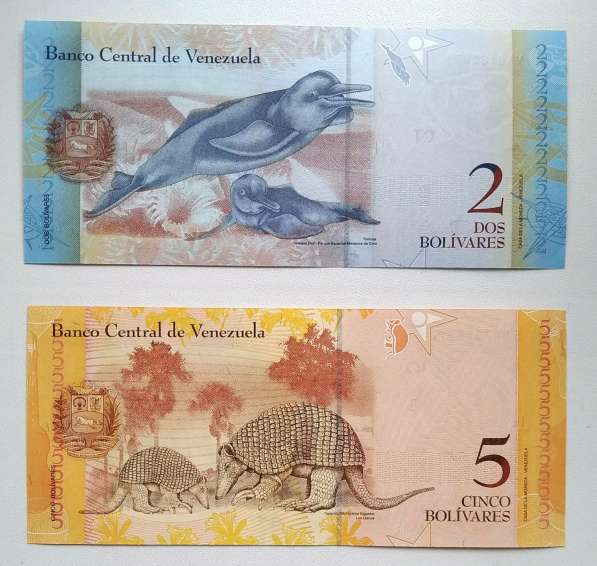 Банкноты Венесуэлы в Нижнем Новгороде фото 4
