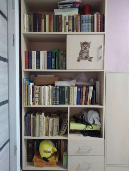 Шкаф-библиотека