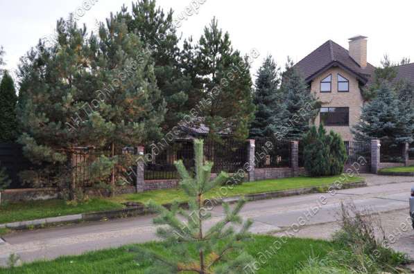 realty_mapper3.plot_in_locationИндивидуальное жилищное ст-во. Площадь 15.70 сот.Есть Водопровод. в Москве фото 9