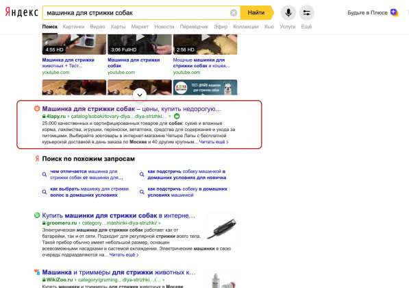 Создание сайтов и продвижение их