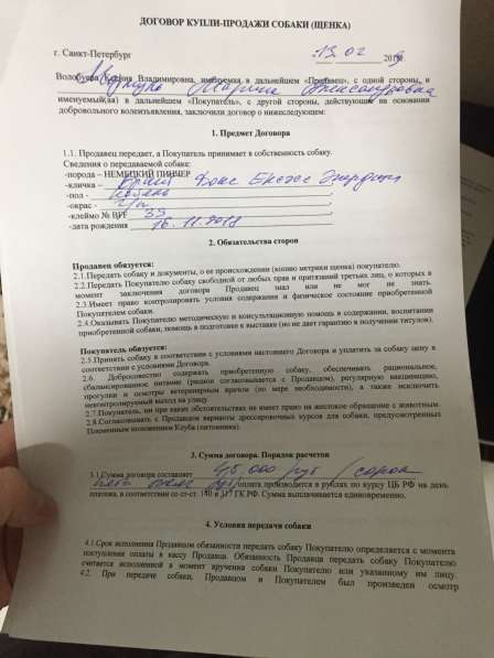 Щенок Пинчер в Севастополе