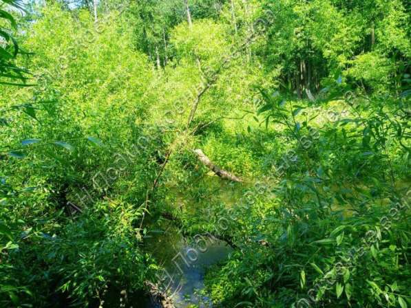 realty_mapper3.plot_in_locationИндивидуальное жилищное ст-во. Площадь 30.00 сот.Есть Электричество. в Москве фото 37