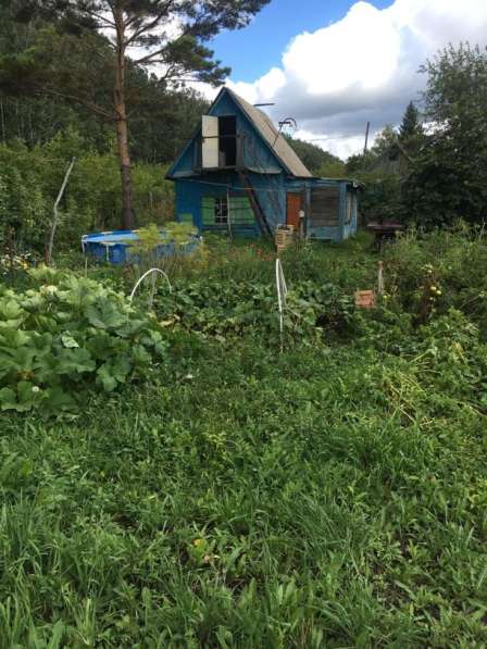 Продам дачный участок. Вблизи города Новосибирска в Новосибирске фото 5