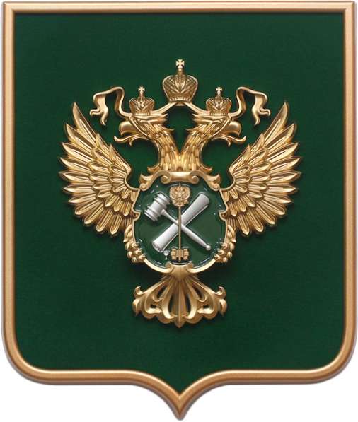 Юрист по семейным спорам