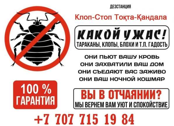 Предлагаем услуги по уничтожению клопов