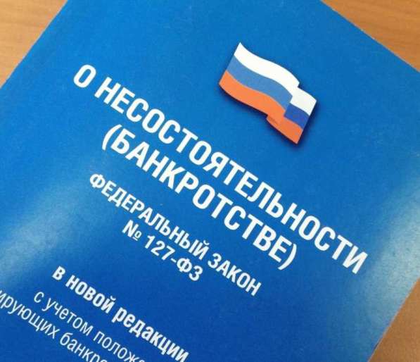 Банкротство, арбитражный управляющий в Екатеринбурге фото 4