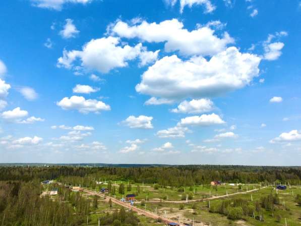 Лесные участки в Дмитрове фото 5