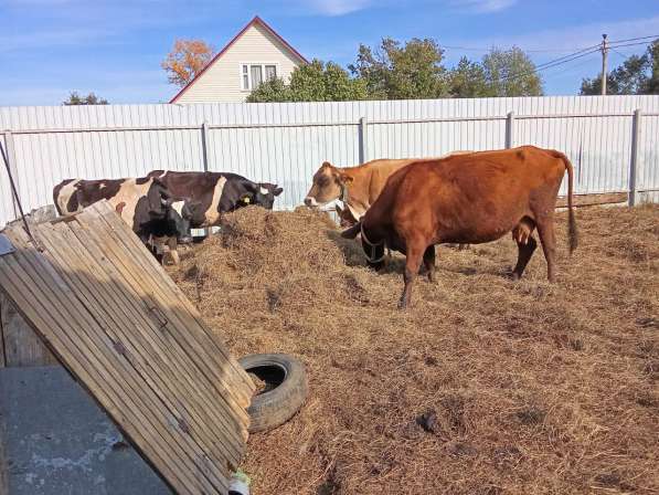 Продаю в Конаково фото 3