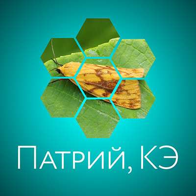 Патрий КЭ,(Инсектицид)
