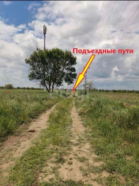 Продам участок 15 соток ЛПХ в Темрюке фото 4