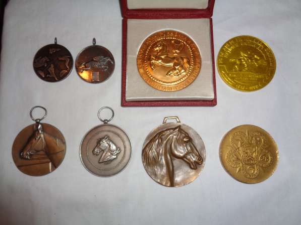 Коллекция значков и медалек кони, лошади в Москве фото 5