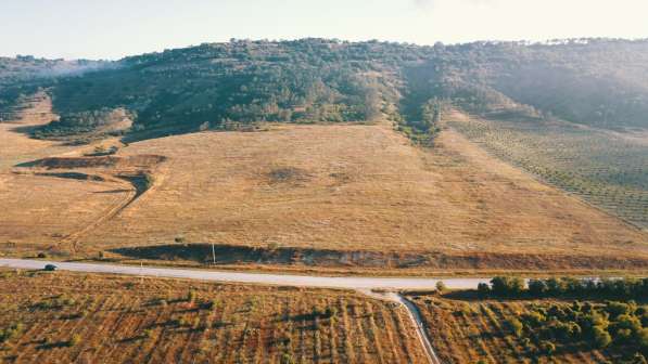 Участок 2800 сот., с. Долинное, Бахчисарайский район