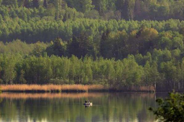 Участок на озере Савельево 10 соток в Ярославле фото 6