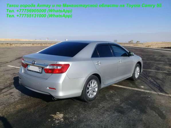 Актау/ Индивидуальные экскурсии по Мангистауской области в Санкт-Петербурге фото 36