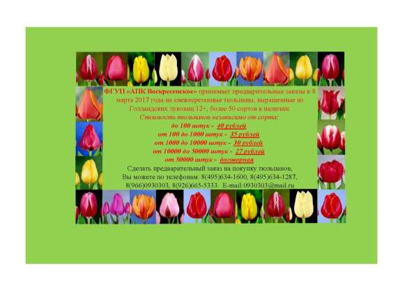 Продажа тюльпанов к 8-ому марта от производителя