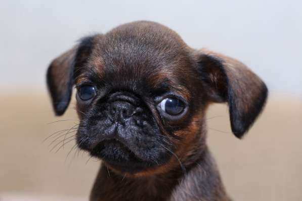 Солнечный мальчик