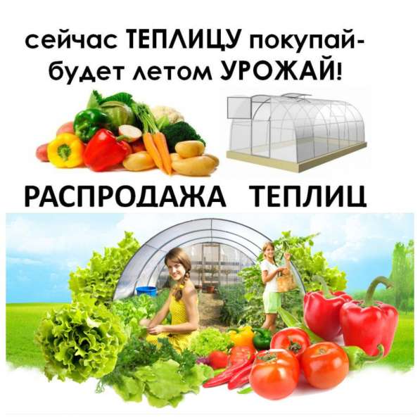 Теплицы в Новосибирске фото 5