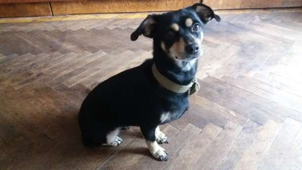 В самые хорошие руки