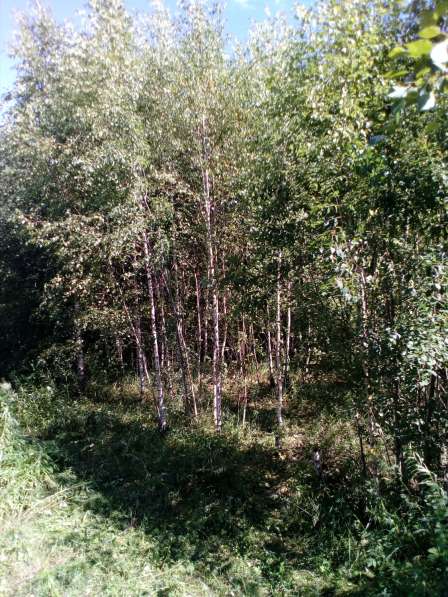 Участок 12 соток, 35 км от МКАД в Москве фото 11