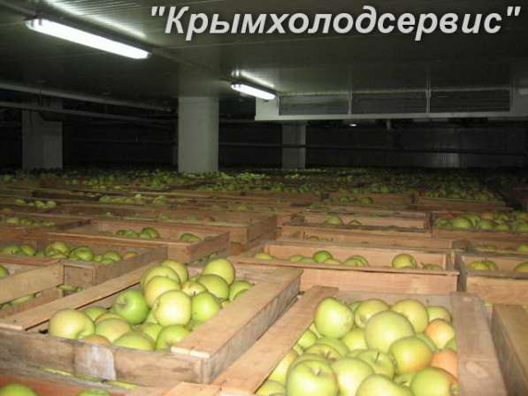 Овощные холодильные камеры в Крыму с установкой. Сервис 24 ч в Симферополе фото 17