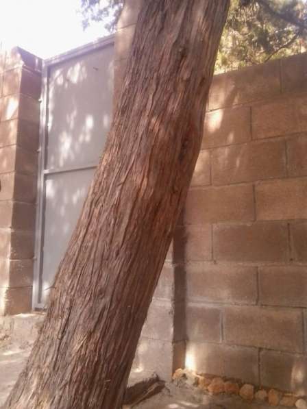 Отдельный номер с двориком в Симеизе в Ялте фото 62