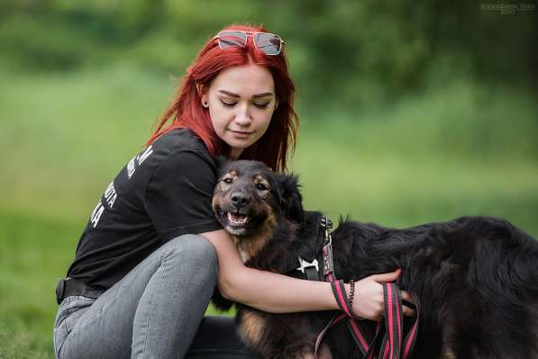 Собака-терапевт Пайпер ищет семью в Москве фото 28