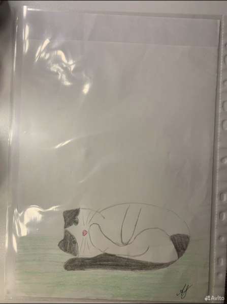 Рисунки ваших питомцев на заказ в Апатиты фото 8