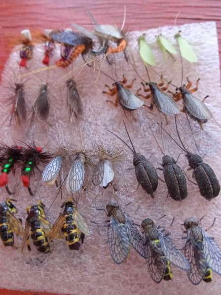 Мушки и нимфы в Ухте фото 5