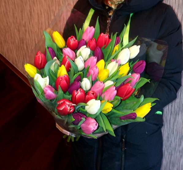 Тюльпаны собственного производства в Альметьевске