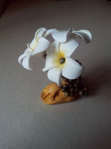 Гавайский цветок в Ростове-на-Дону фото 5