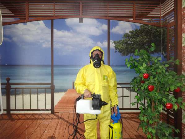 Избавим Вас от насекомых и грызунов и тд в Москве