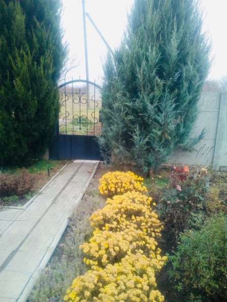 Срочно продам дом Степногорск в фото 15