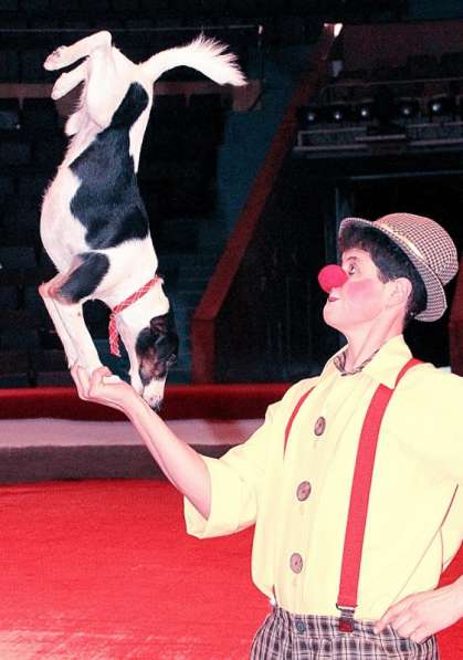 Цирковые артисты с животными на ваш праздник в Москве фото 3