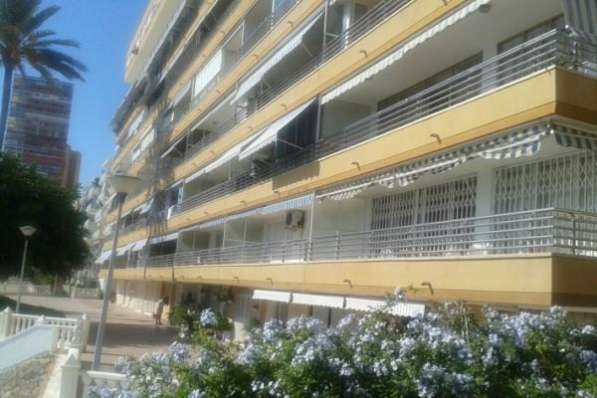 Недвижимость в Испании, Квартира в Аликанте в фото 4